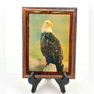 Vintage Eagle Plaque on wood